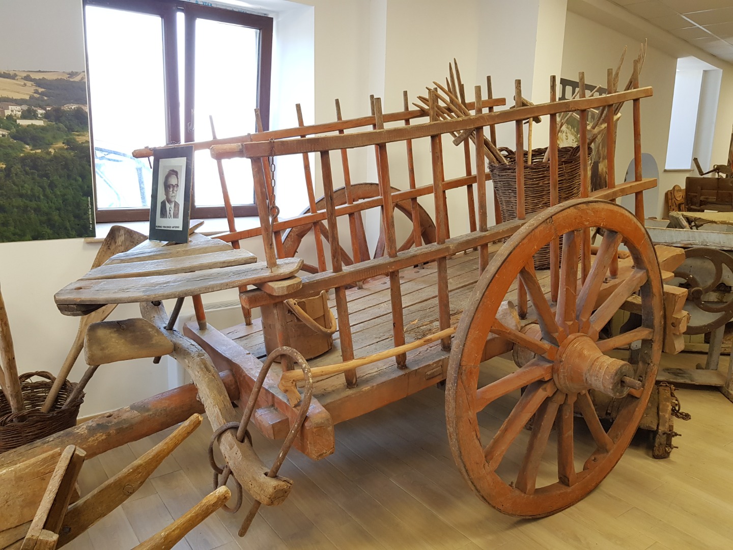 Museo